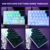 XVX HE68 Pro Rapid Trigger Gaming Hall Effect Keyboard Gateron