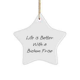 Bichon Frise Dog Lovers Christmas Star Ornament Gifts from Friends, Family, and Coworkers