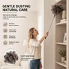 Home Cleaning Bundle - Feather Duster - Corner Brush -