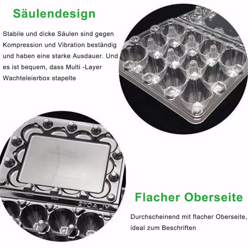 Pack of 30 Quail Egg Boxes, 12 Grid Quail Egg