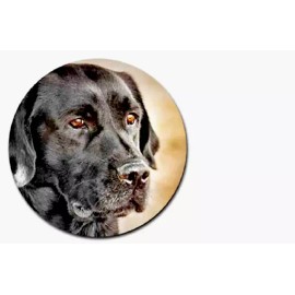 Fashion Jewelry Ideal BLACK LAB DOG Pendant on Plated 925 Silver 20" 22" Necklace Gift Boxed