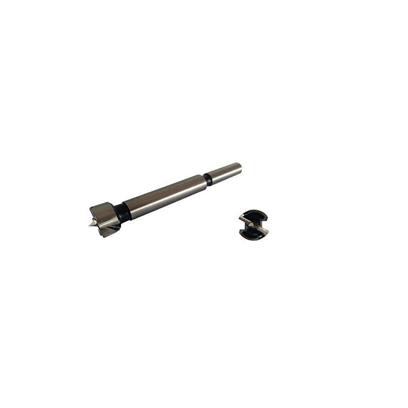 PAULIMOT Forstner Drill Bit Diameter 6 x 90 mm