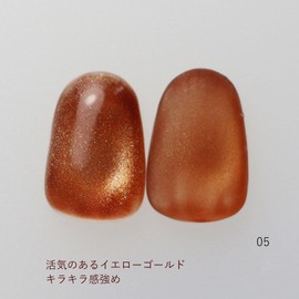 Magnetic Nail Gel Nail Magnetic Gel 0.3 oz (8 g) Glitter One Hon Nail Reno Gel Dull Color Art Gel Nail Color Gel Nail Magnet Clear Ceramic Self Nail Salon Large Capacity Professional (RN05, 1)