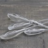 Sbirulino Bombarden set for fishing trout float (bombarden set semi-sinking