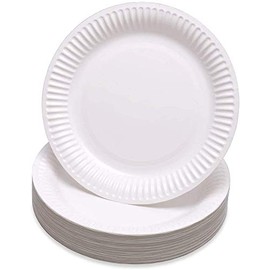 PRISTINE ENTERPRISE Pack of 100, 23cm Large Disposable Paper Plates, Disposable Party Plates Used for Hot & Cold Food Perfect for Christmas Birthday Picnic Any Household Party Disposable Plates