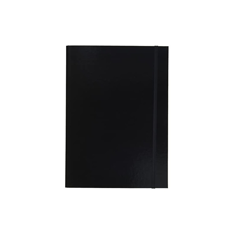 Pagna Basic Colours File Box A4 3 Inner Flaps with