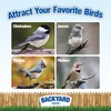 CountryMax Sunflower Chips Medium Sized Shelled No Waste Bird Seed