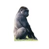 Cardboard People Gorilla Life Size Cardboard Cutout Standup