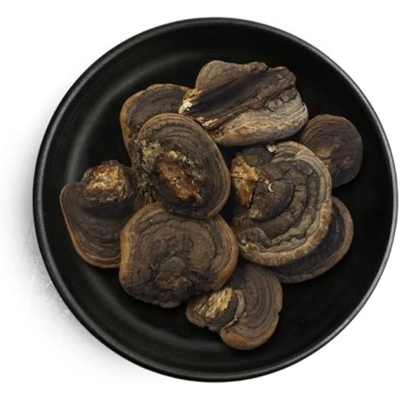 Organic Natural Pure Phellinus Linteus Mushroom Dried Bulk Herbs (3.52