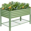 Elevated Raised Garden Bed 2' x 4'- Galvanized Metal Planter