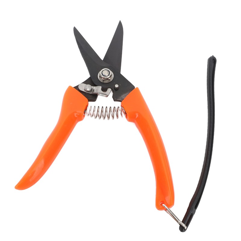 Hoof Shear Red Stainless Steel High Carbon Steel Multifunctional Hoof