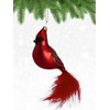 Cobane Studio LLC COBANEC304 Cardinal with Feather Tail Ornament