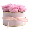 ROSEMARIE SCHULZ Heidelberg Rose Box Pink Round Infinity Roses -