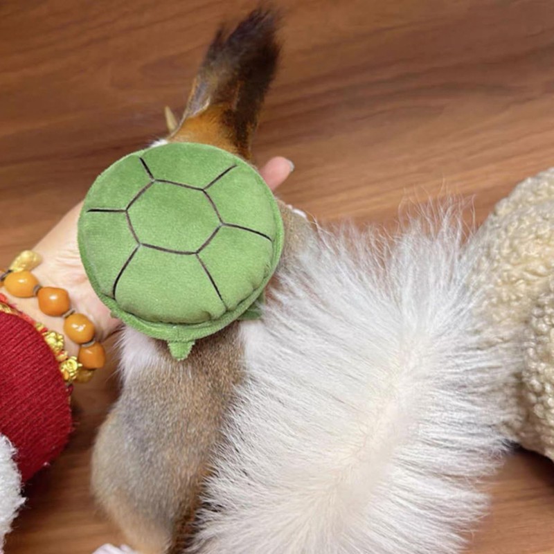 Cute Squirrel Costumes Turtle Shell Kawaii Squirrel Clothes for Small