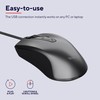Trust 23733 Carve Wired USB Mouse (3 Buttons and Scroll