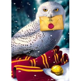 GLXPOG White Owl Diamond Painting Kits for Adults, Owl 5D DIY Diamond Art Kits for Beginners Round Full Drill Painting with Diamonds Art Crafts for Home Wall Decor Gift 12x16 in / 30x40cm