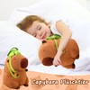 Capybara Cuddly Toy, Super Soft Capybara Plush Toy with Removable
