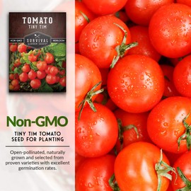 2 Packs Tiny Tim Tomato Seeds for Planting with Instructions to Grow in Your Home Vegetable Garden - Non-GMO Heirloom - Survival Garden Seeds
