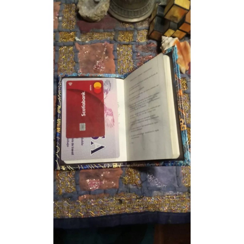 Vintage Funda Pasaporte Estampada Visa Id Porta Documentos