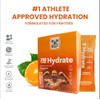 310 Nutrition Electrolitos Sin Azúcar 310 Nutrition -