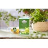 Ahmad Tea Mint Mystique Green Tea - 20 Teabags