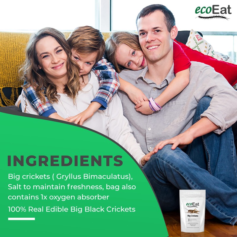 ecoEat Edible Insects Big Black Crickets to Eat – Edible