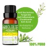 Aceite Esencial De Árbol De Té Antimicotico 100 % Natural