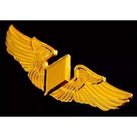 WASP PILOT GOLD WINGS WWII WOMENS AIR FORCE SERVICE PILOTS