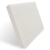BESTWELL4U Comb Cabin Engine Air Filter for Kia Telluride 3.8L