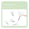 Diyday 4 D W Shaped- Extensiones De Pestañas