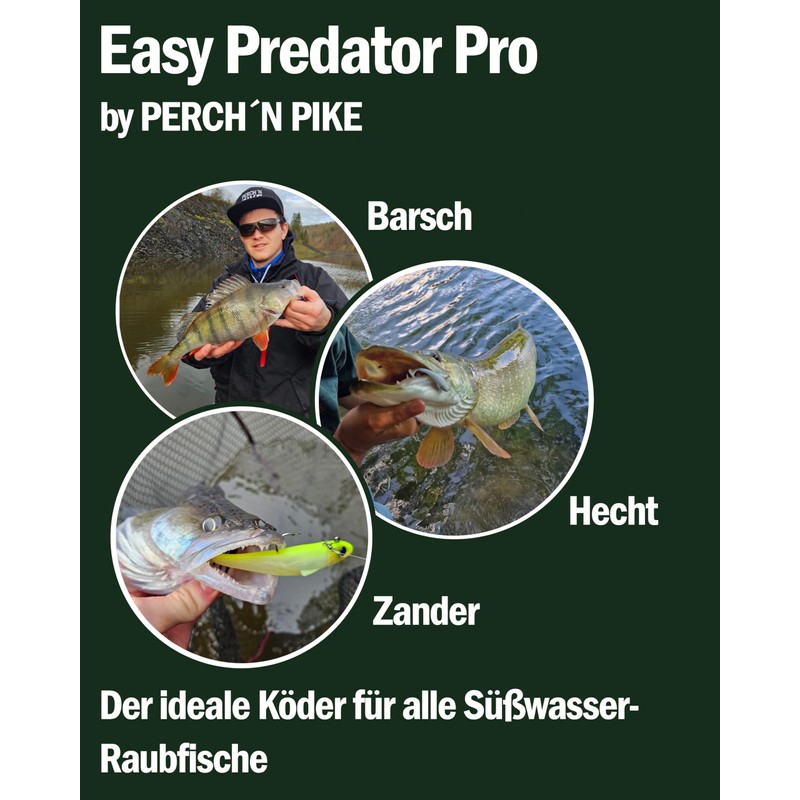 Rubber Fish with Hooks Set of 6 for Pike, Zander