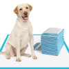 Paws Happy Life Protection Pads Premium 14 ct Puppy Dog