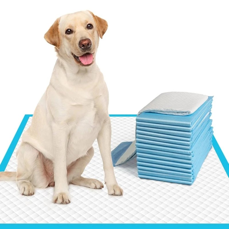 Paws Happy Life Protection Pads Premium 14 ct Puppy Dog