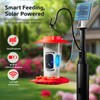Hummingbird Feeder with Camera for Outdoors, 2K Solar Powered Smart