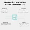 Magnesio Dual Blend Longevity Series 700 Por Cápsula 240 Cápsulas