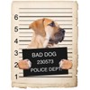 Boerboel Dog Mugshot Bad Dog Car Bumper Magnet, Magnetic for