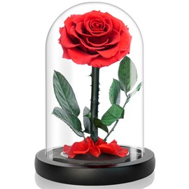 YOJOYI Everlasting Elegance - Enchanting Rose in Glass Dome, Eternal Flower, Preserved Roses That Last Forever - Perfect Gothic Gift for Women, Infinity Rose in Elegant Display