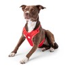 GF PET Travel Harness - Red - L