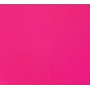 US Marine Products LLC Fluorescent Lobster Buoy Paint Pink Quart