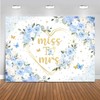 Mocsicka Miss to Mrs Bridal Shower Backdrop Boho Something Blue