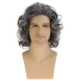 Dsimeig Mens Short Curly Wavy Wig Mixed Grey Fluffy Cosplay Costume Hair