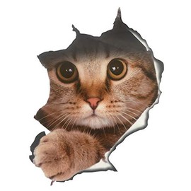 Pack of 2pcs Washroom Room WC Toilet Seat Stickers A Super Adorable Cat Animal Pattern 3D View PVC Wall Stickers Decor Decals Art Mural