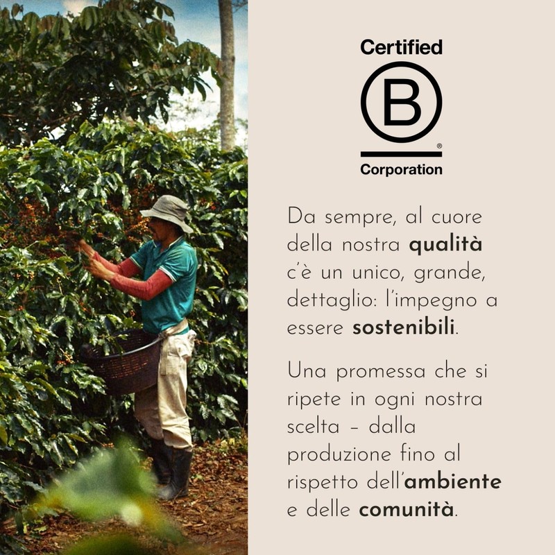 illy, Caffè Macinato per Moka Tostato CLASSICO, 100% Arabica con