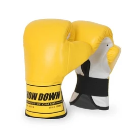 Everlast Showdown Mini Boxing Gloves / 쇼다운 미니 복싱 글러브