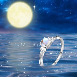 Qings Moonstone Infinity Ring Women's 925 Sterling Silver Rainbow Moonstone Infinity Round Solitaire Engagement Promise Moon Rings for Girls Wife Girlfriend Mum Size 49
