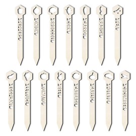 arricraft 15 Pcs Vagetable Plant Markers, 15 Styles Wooden Hollow Fruit Signs Tags with Pattern Labels for Indoor Outdoor Greenhouse Potted Seed Herbs Patio Supplies 15.24x2.54cm(6x1inch)