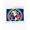 Hilasal Toalla Oficial del Club América, Textura Suave, 100% Algodón