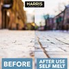 Harris Kind Melt Pet Friendly Ice and Snow Melter, Fast