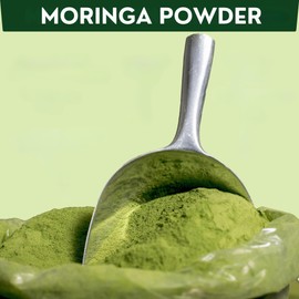 Nutrigins Nutrigins Moringa Powder - 1 lb - Organic Moringa Oleifera - 100% Raw and Pure Moringa Leaf Powder - Great for Drinks, Tea, Smoothies & Recipes - Food-Grade, Vegan, Resealable Stand-Up Bag
