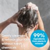Nature Clean Pure Sensitive Shampoo, Unscented, 10 Fluid Ounce.
